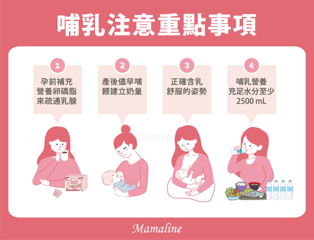 哺餵母乳4大重點:補充卵磷脂、盡早哺餵建立奶量、正確含乳、補充營養和充足水分